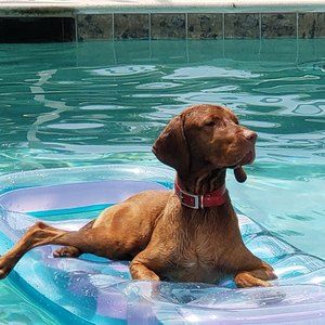 Meet your Posher, Tom